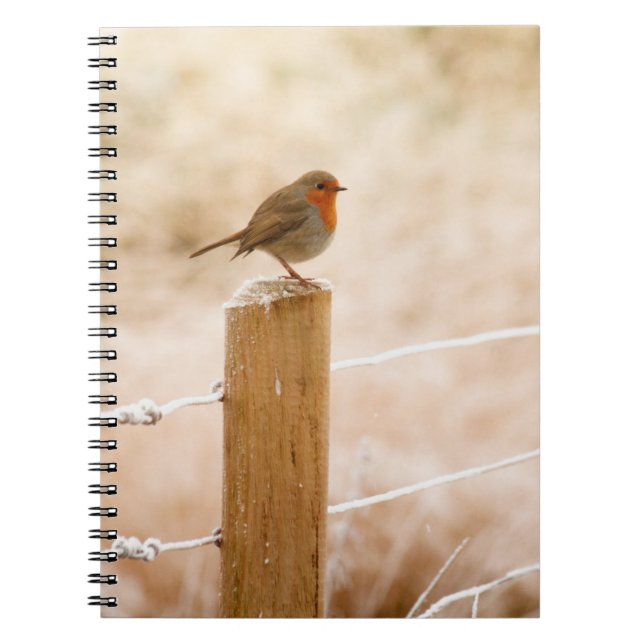 Cuaderno Robin Redmama (Frente)