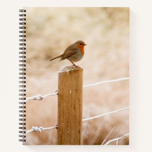 Cuaderno Robin Redmama (Anverso)