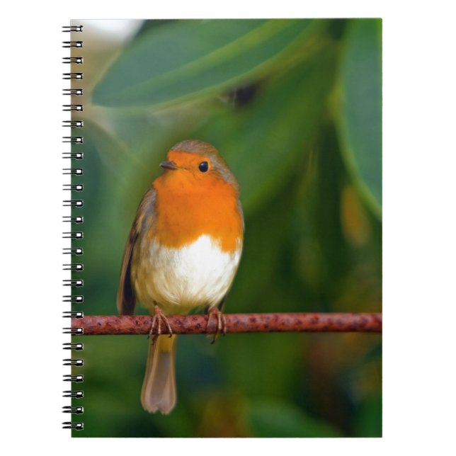 Cuaderno ROBIN rojo (Frente)