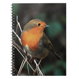 Cuaderno Robin Siendo Brillante En Un Día Duro Arte Acrílic