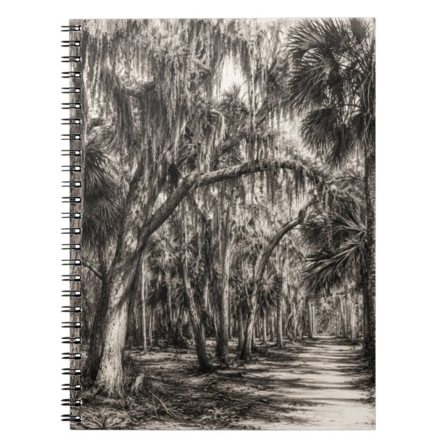 Cuaderno Roble Hammock de la vieja Florida Dibujo a grafito (Frente)