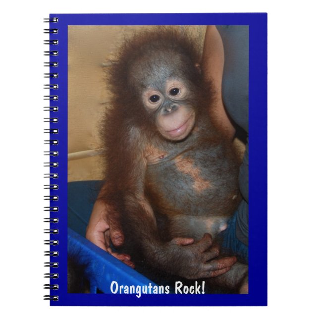 Cuaderno Roca de los orangutanes (Frente)