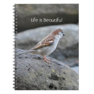 Cuaderno Roca de Pájaro Kauai (mi fotografía)
