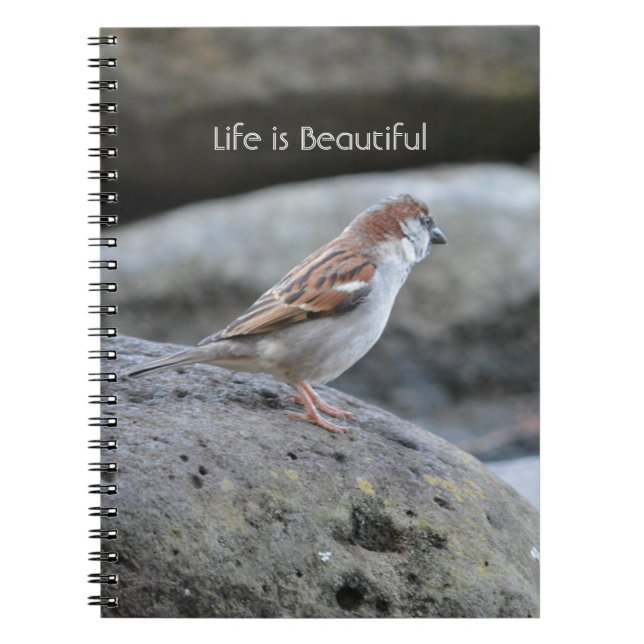 Cuaderno Roca de Pájaro Kauai (mi fotografía) (Frente)