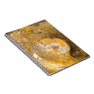 Cuaderno Roca que contiene muchos fósiles y la foto de la