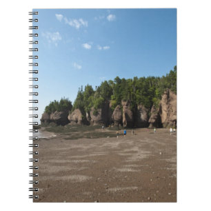 Cuaderno Rocas Hopewell y exploración de mareas oceánicas