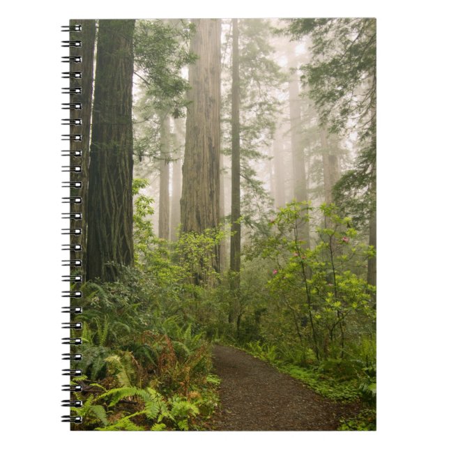 Cuaderno Rododendros floreciendo entre las secuoyas costera (Frente)