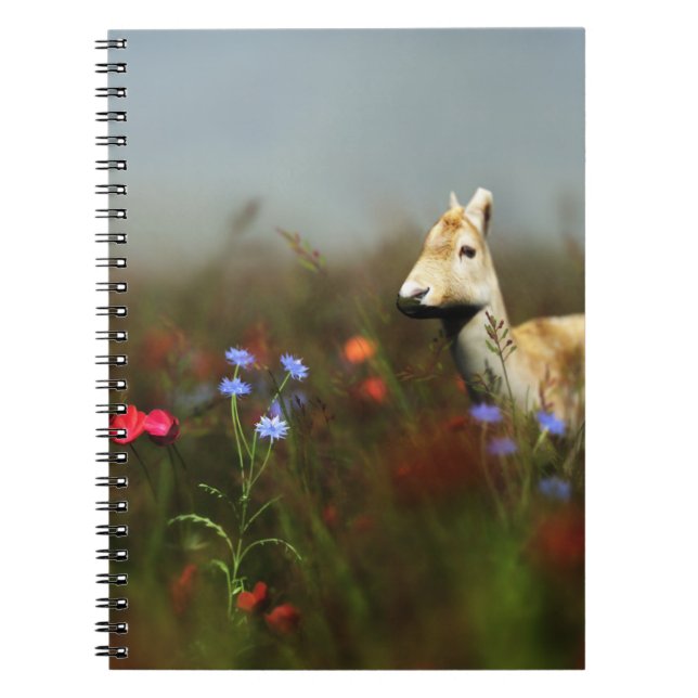 Cuaderno Roe in a Meadow Notebook (Frente)