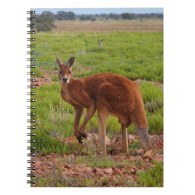 Cuaderno rojo australiano del canguro (Frente)