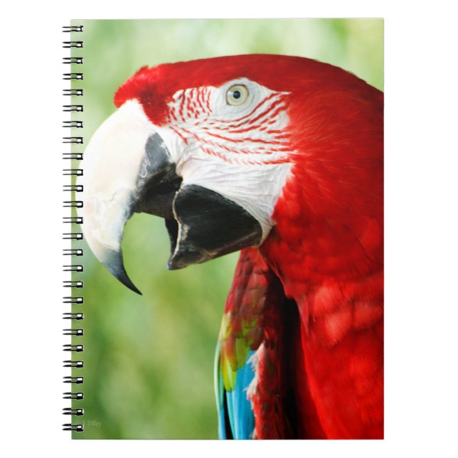 Cuaderno Rojo brillante (Frente)