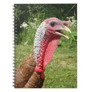 Cuaderno rojo de Borbón Turquía