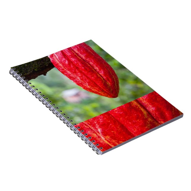 Cuaderno rojo de la vaina de cacao (Lado Derecho)
