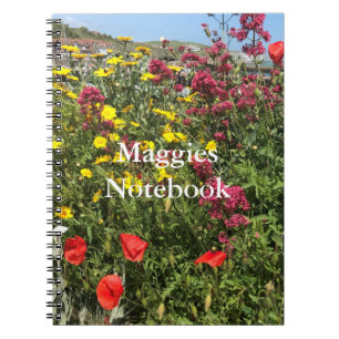 Cuaderno Rojo valeriano, maricones amarillos y lapiceros ro