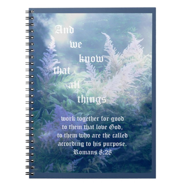 Cuaderno Romanos Astilbe Blue Mist 8:28 (Frente)