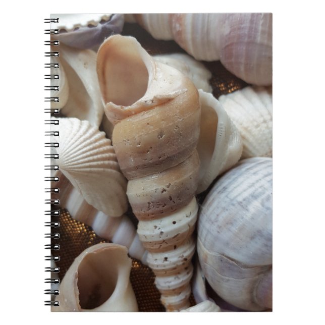 Cuaderno Romántico Tropical Exótico de las conchas de mar P (Frente)
