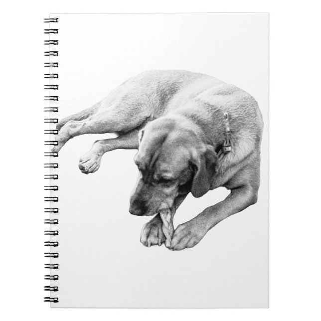 Cuaderno Rope y reflexión (Frente)