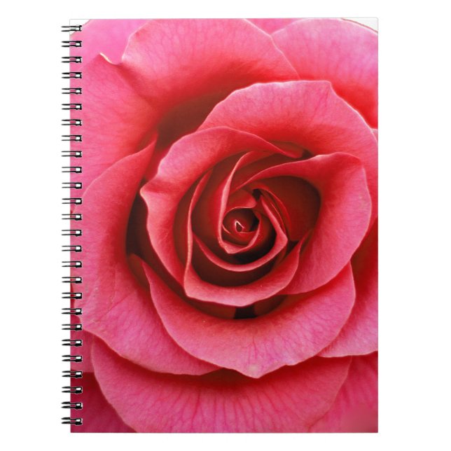 Cuaderno Rosa (Frente)
