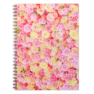 Cuaderno Rosa