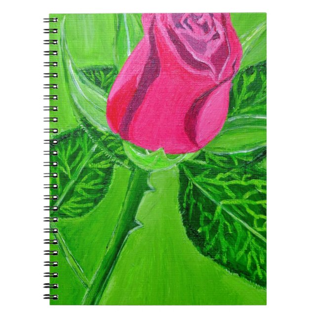 Cuaderno Rosa 1a (Frente)