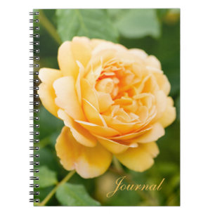 Cuaderno Rosa amarilla naranja