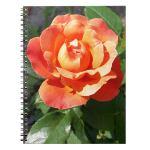 Cuaderno rosa amarillo brillante