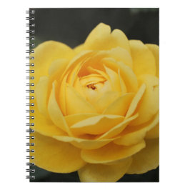 Cuaderno Rosa amarillo hermoso