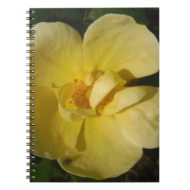 Cuaderno Rosa amarillo salvaje (Frente)