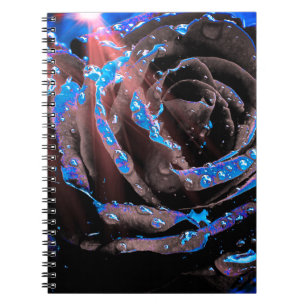 Cuaderno Rosa azul