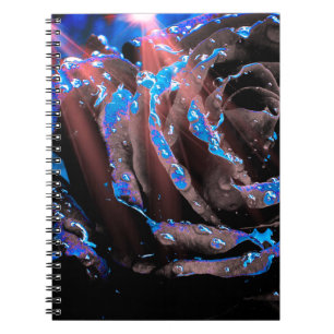 Cuaderno Rosa azul