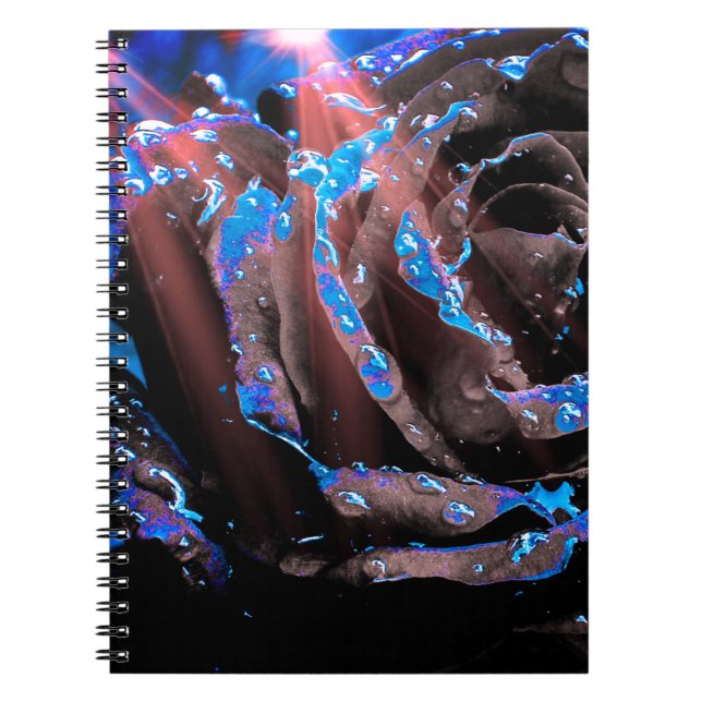 Cuaderno Rosa azul (Frente)