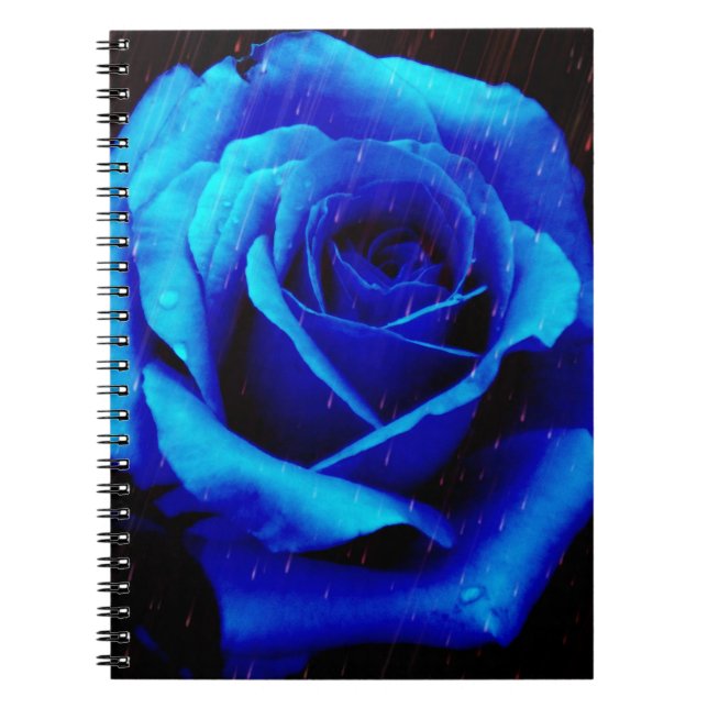 Cuaderno Rosa azul dramático (Frente)