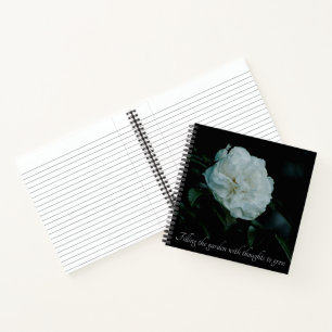 Cuaderno Rosa blanca