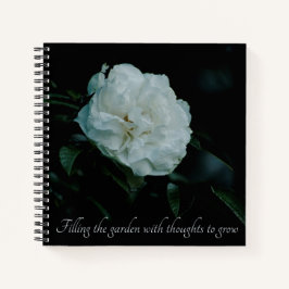 Cuaderno Rosa blanca