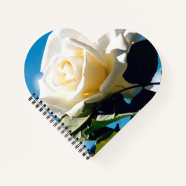 Cuaderno Rosa blanca bajo cielo azul