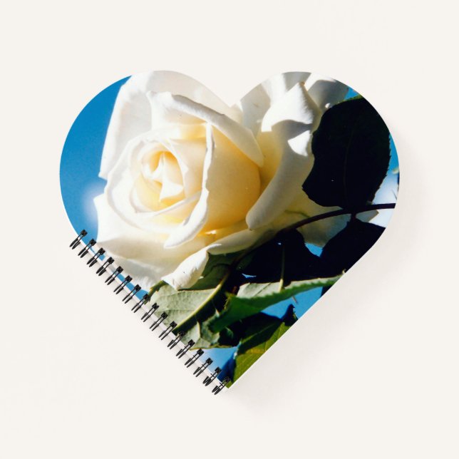 Cuaderno Rosa blanca bajo cielo azul (Anverso)