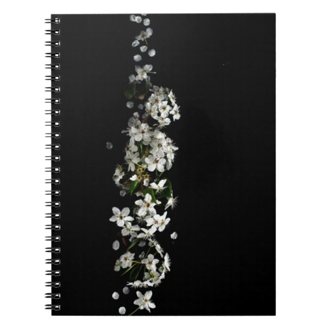 Cuaderno rosa blanco (Frente)