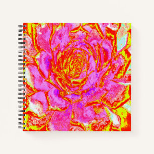 Cuaderno Rosa caliente, rojo y amarillo suculento rosette s