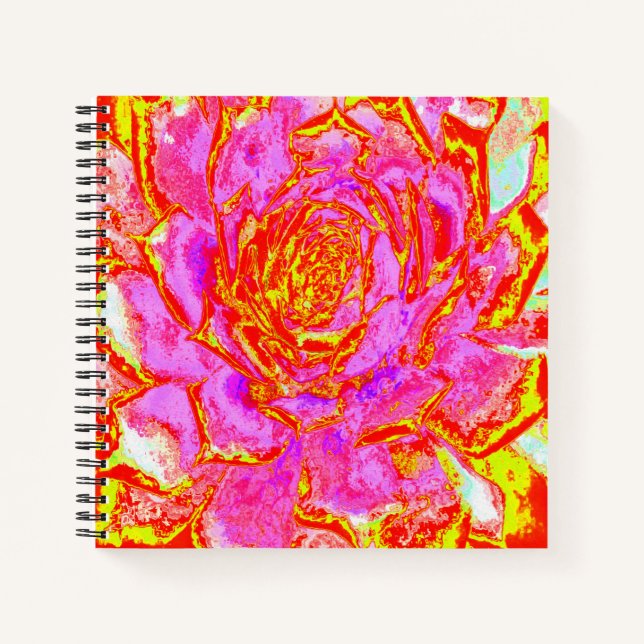 Cuaderno Rosa caliente, rojo y amarillo suculento rosette s (Anverso)