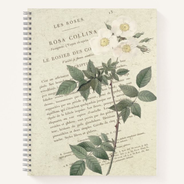 Cuaderno Rosa Collina Vintage (Anverso)