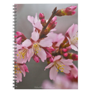 Cuaderno Rosa Contra Un Cielo Gris Flor De Cerezo Japonesa