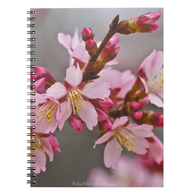 Cuaderno Rosa Contra Un Cielo Gris Flor De Cerezo Japonesa (Frente)