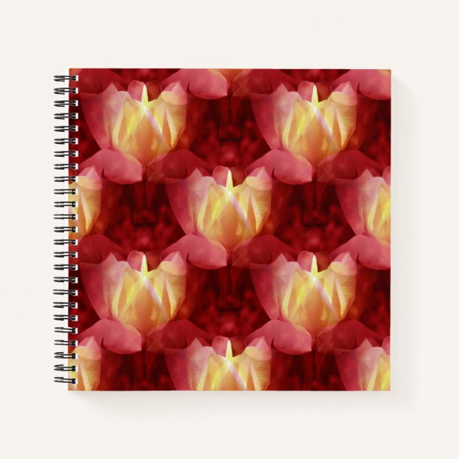 Cuaderno Rosa de amistad... (Anverso)