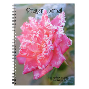 Cuaderno Rosa de cristales de hielo en diario de oraciones 