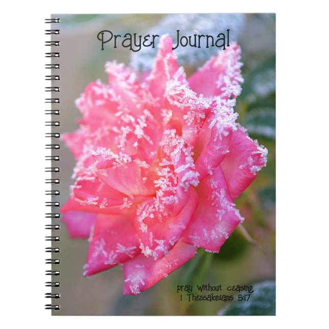 Cuaderno Rosa de cristales de hielo en diario de oraciones  (Frente)