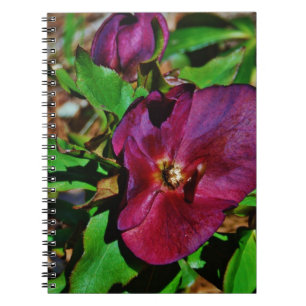 Cuaderno Rosa de Cuaresma Rosa Borgoña