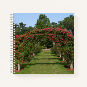 Cuaderno Rosa de escalada Arch Elizabeth Park Garden Hartfo