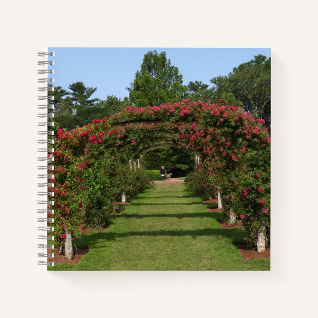 Cuaderno Rosa de escalada Arch Elizabeth Park Garden Hartfo (Anverso)