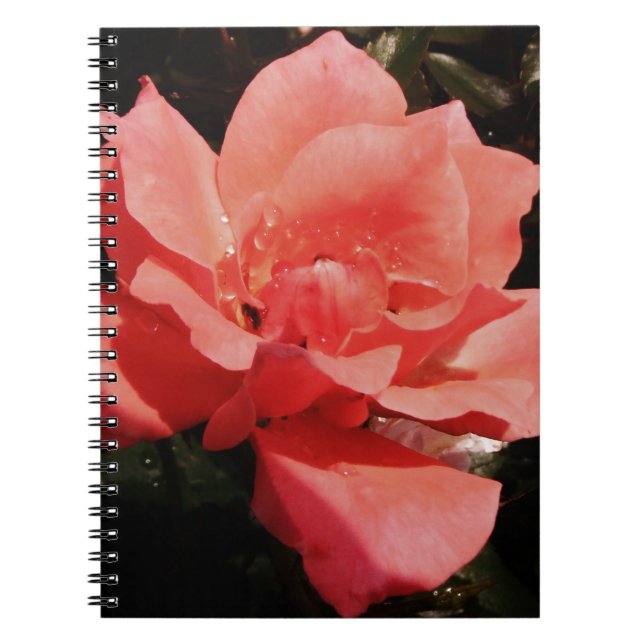 Cuaderno rosa de melocotón y gotas de lavado (Frente)
