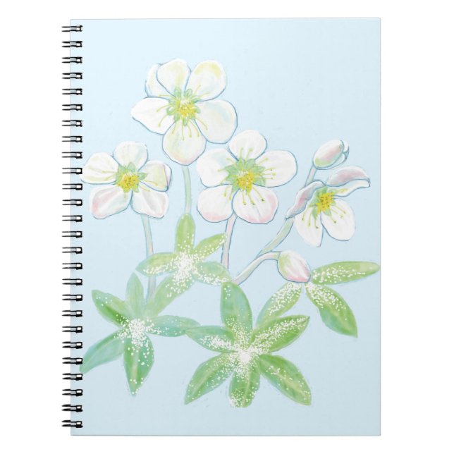 Cuaderno rosa de navidades, Helleborus niger (Frente)