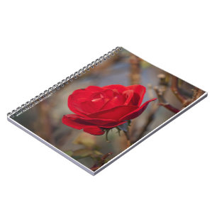 Cuaderno Rosa de otoño